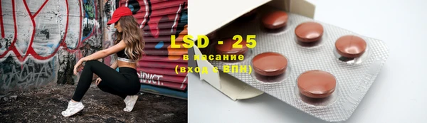 гашик Горняк