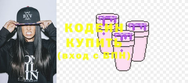 гашик Горняк