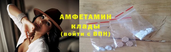 гашик Горняк