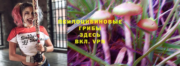 гашик Горняк