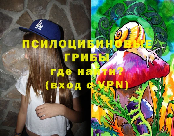 синтетический гашиш Горнозаводск