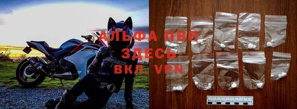 гашик Горняк