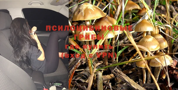 гашик Горняк